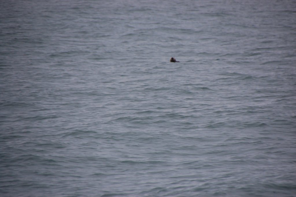 dsc_1322.jpg
