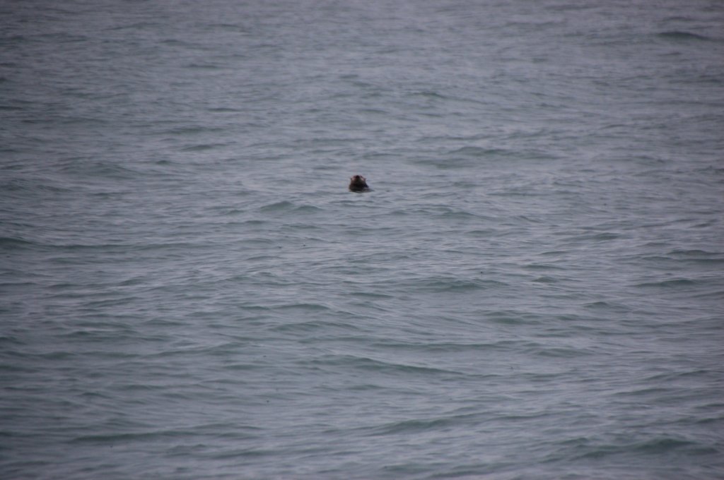 dsc_1323.jpg