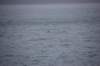 dsc_1324_small.jpg