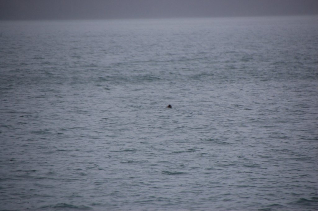 dsc_1325.jpg