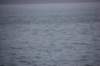 dsc_1326_small.jpg