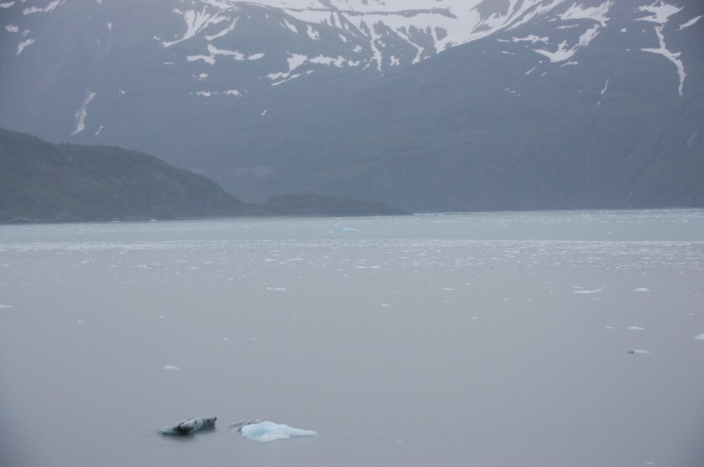 dsc_1328.jpg