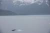 dsc_1328_small.jpg