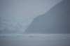 dsc_1332_small.jpg