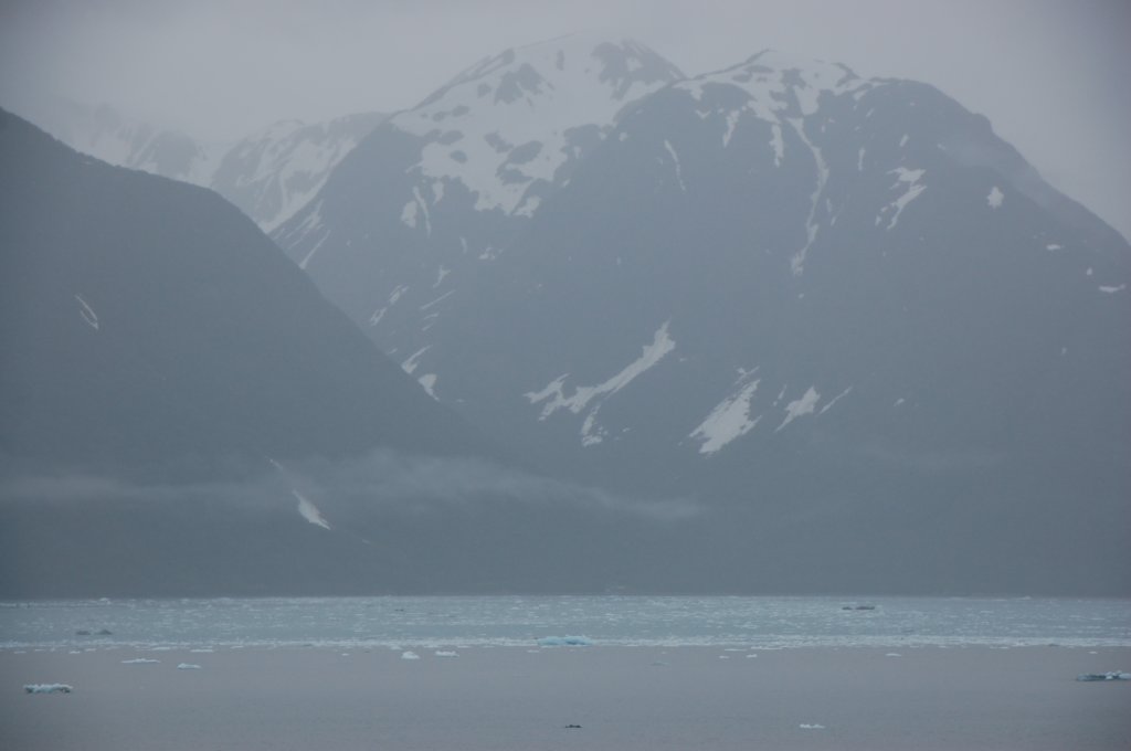 dsc_1335.jpg