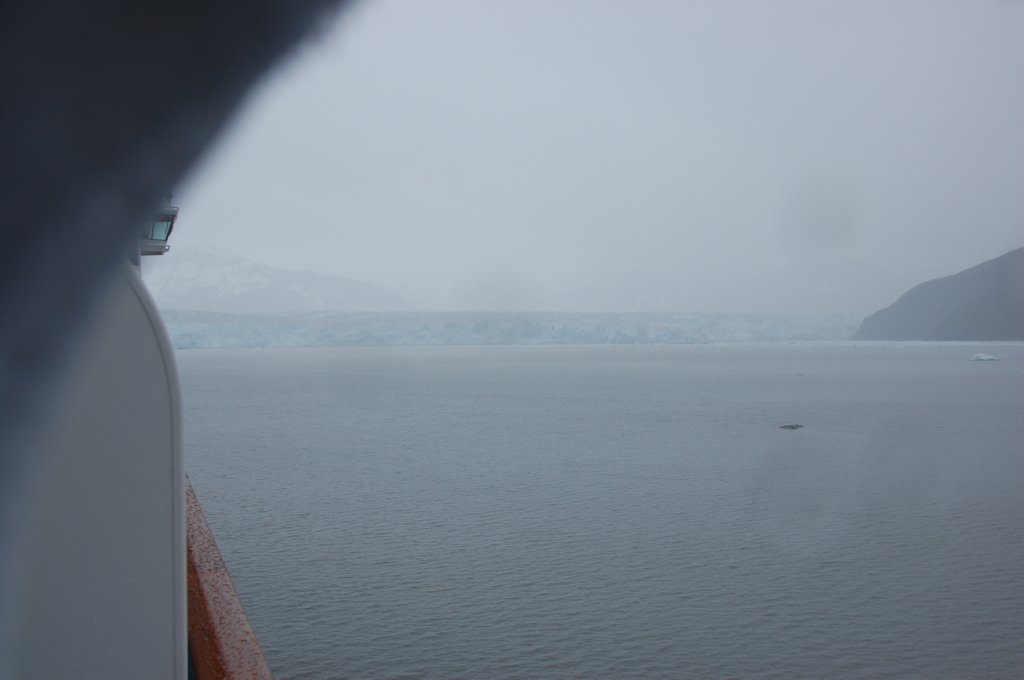dsc_1339.jpg