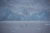 dsc_1341_small.jpg