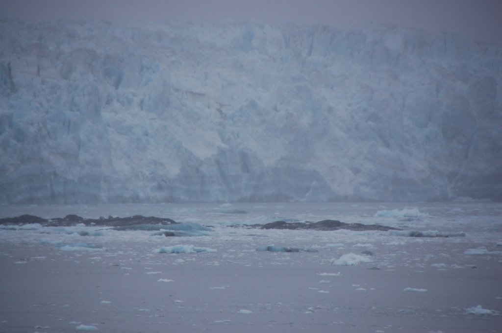 dsc_1342.jpg