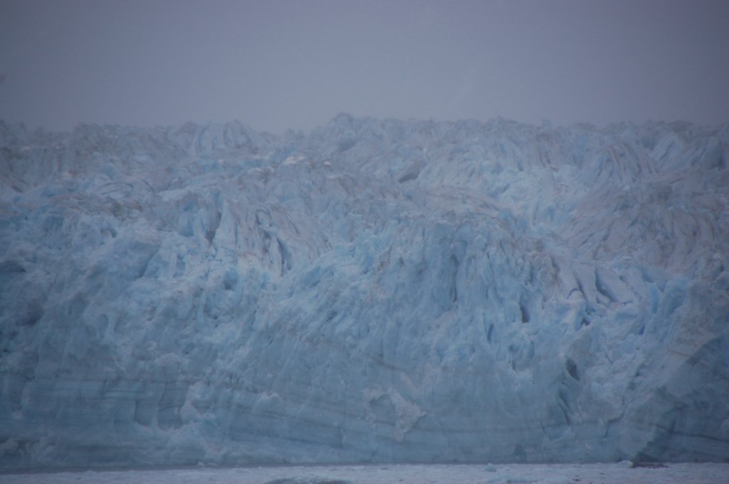 dsc_1344.jpg