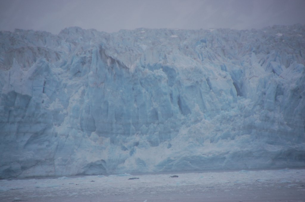 dsc_1345.jpg