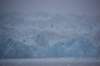 dsc_1348_small.jpg