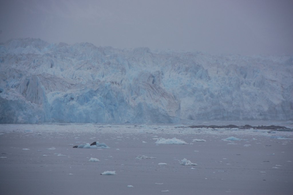dsc_1349.jpg
