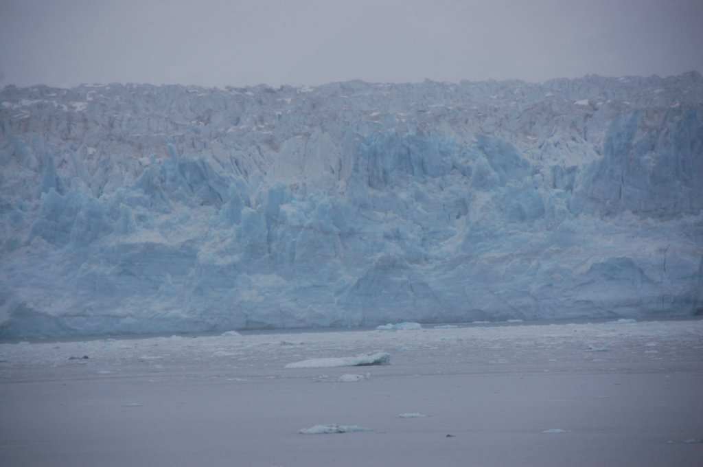 dsc_1353.jpg