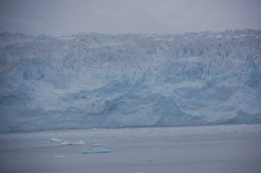 dsc_1354.jpg