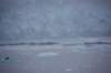 dsc_1357_small.jpg