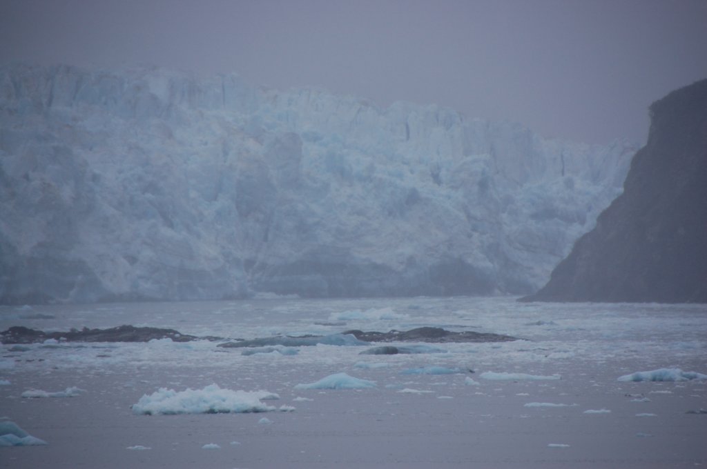 dsc_1361.jpg