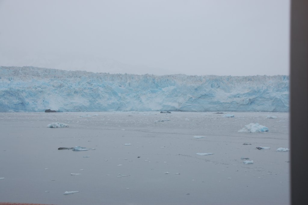dsc_1373.jpg