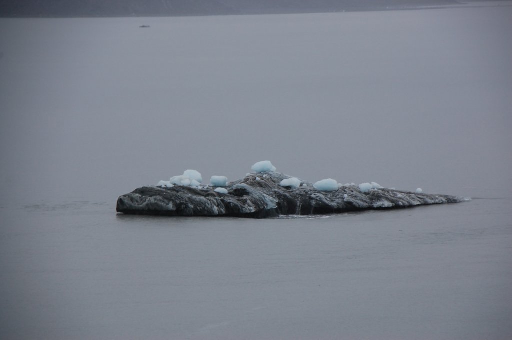 dsc_1379.jpg