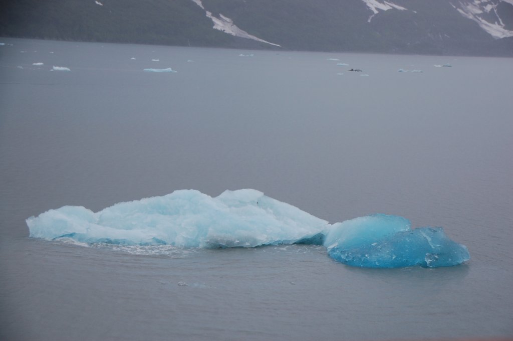dsc_1381.jpg