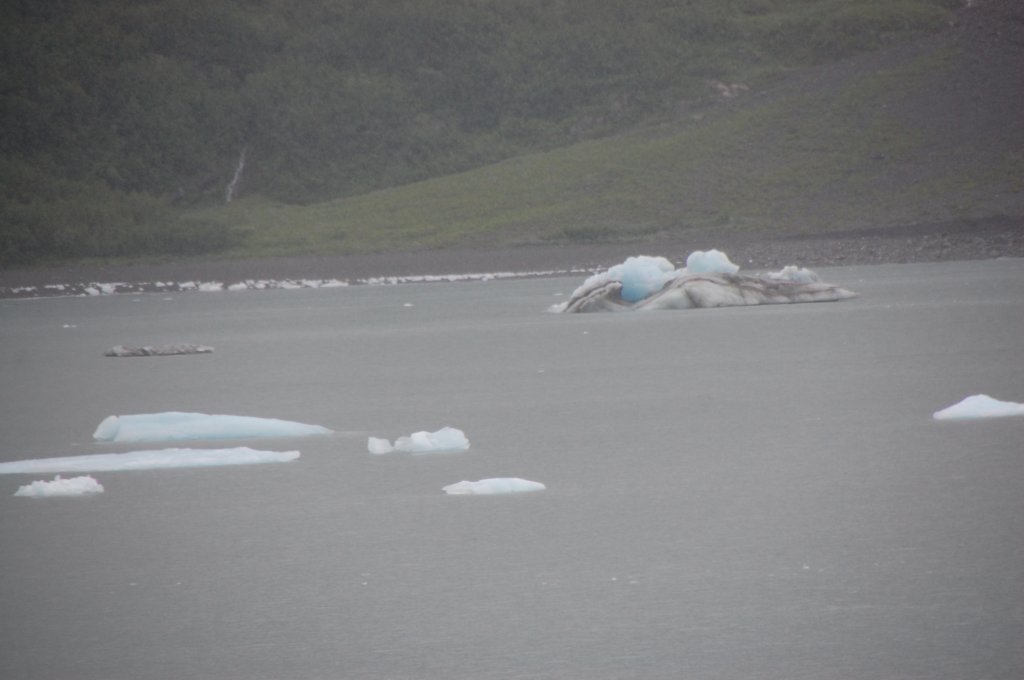 dsc_1386.jpg