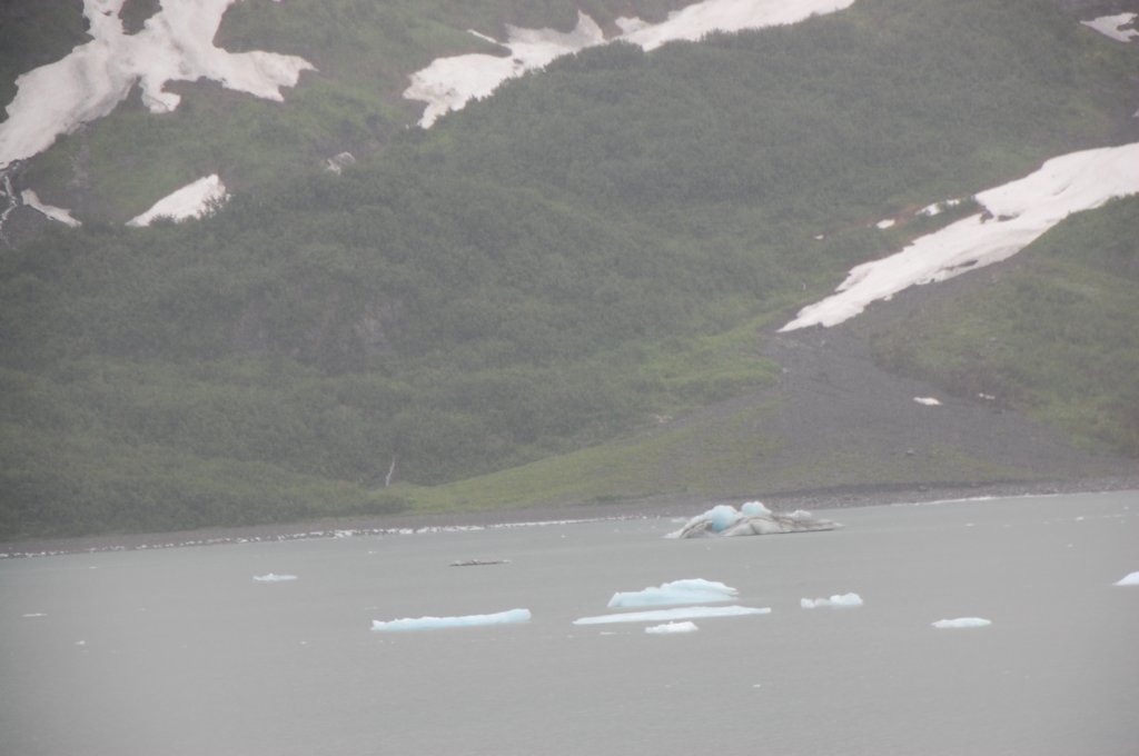 dsc_1387.jpg