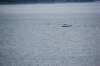 dsc_1389_small.jpg
