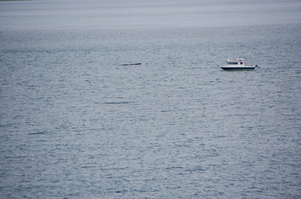 dsc_1390.jpg