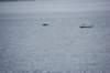 dsc_1391_small.jpg