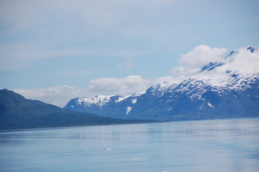 dsc_1426.jpg