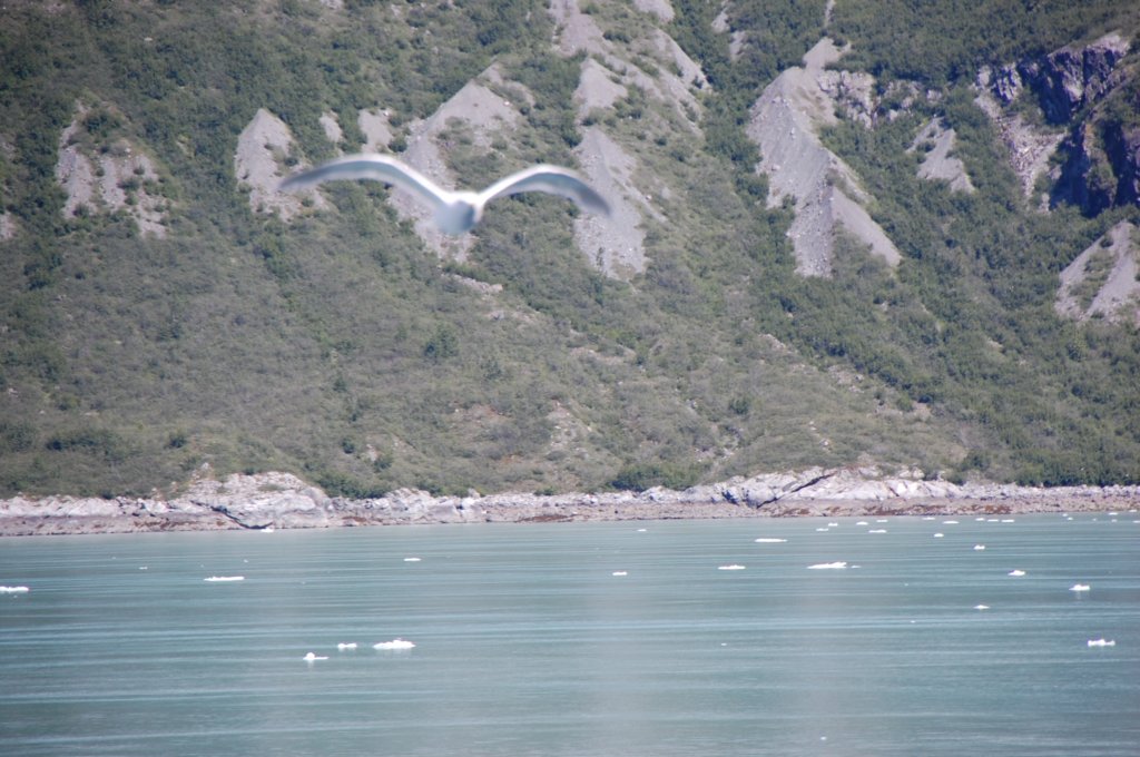 dsc_1489.jpg