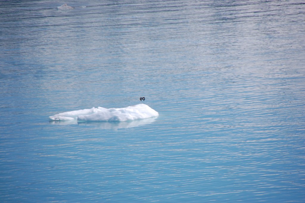 dsc_1546.jpg