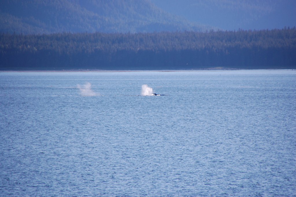 dsc_1564.jpg