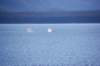 dsc_1564_small.jpg