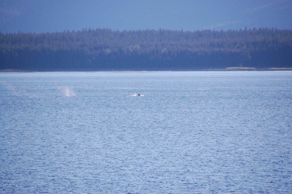 dsc_1566.jpg