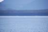 dsc_1567_small.jpg