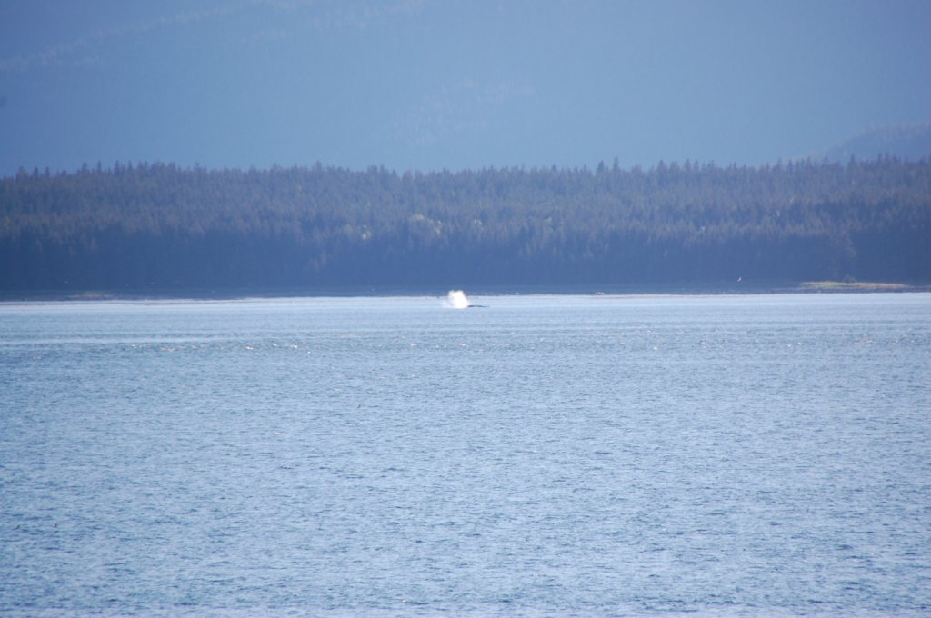dsc_1571.jpg