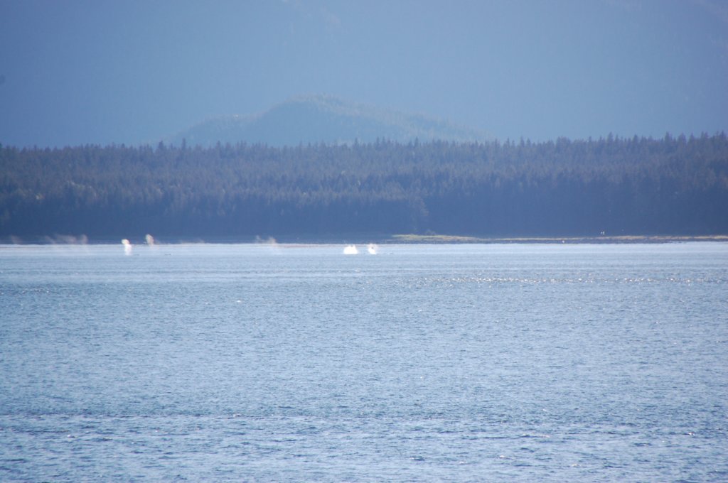 dsc_1574.jpg