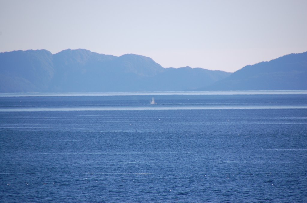 dsc_1579.jpg