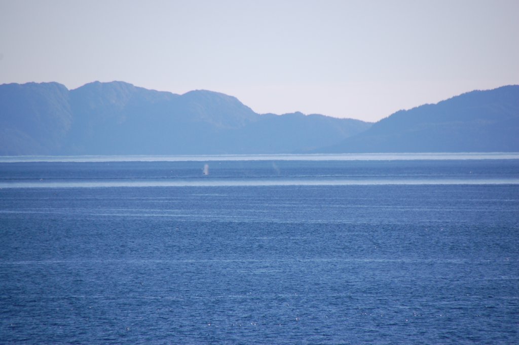 dsc_1580.jpg