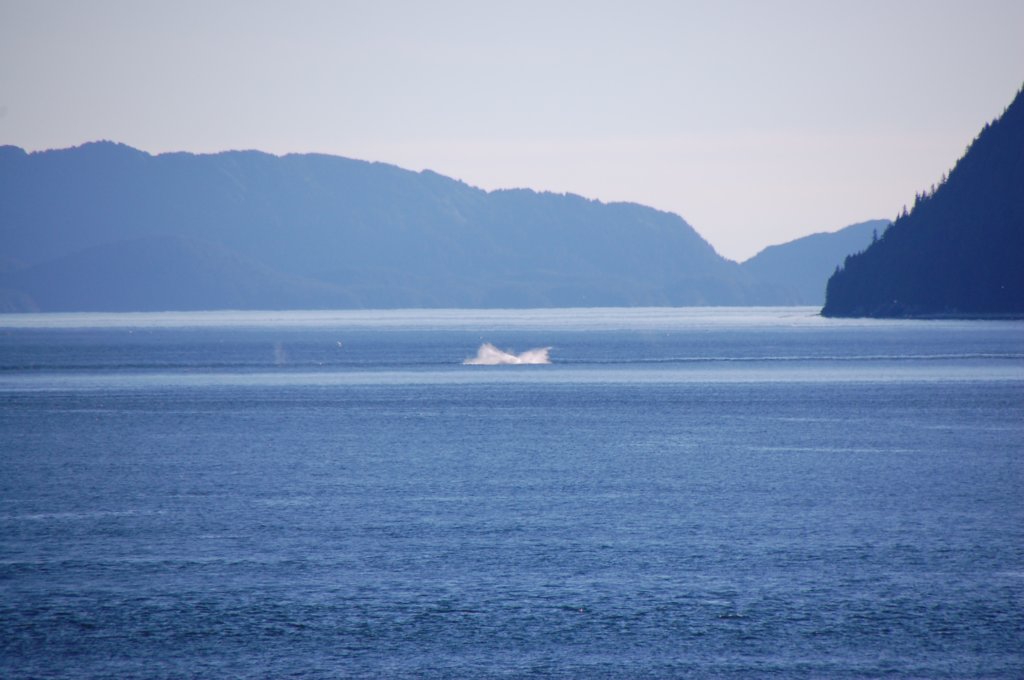 dsc_1582.jpg