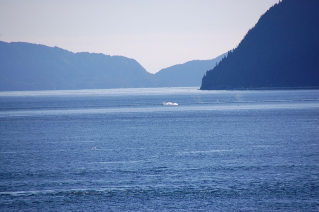 dsc_1583.jpg