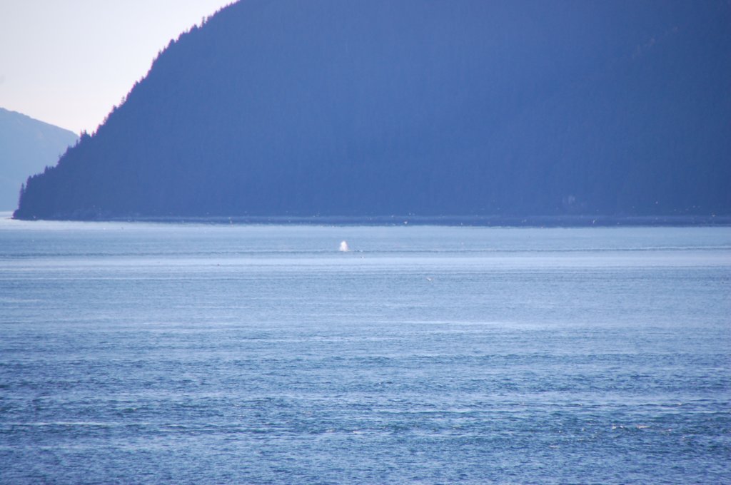 dsc_1586.jpg