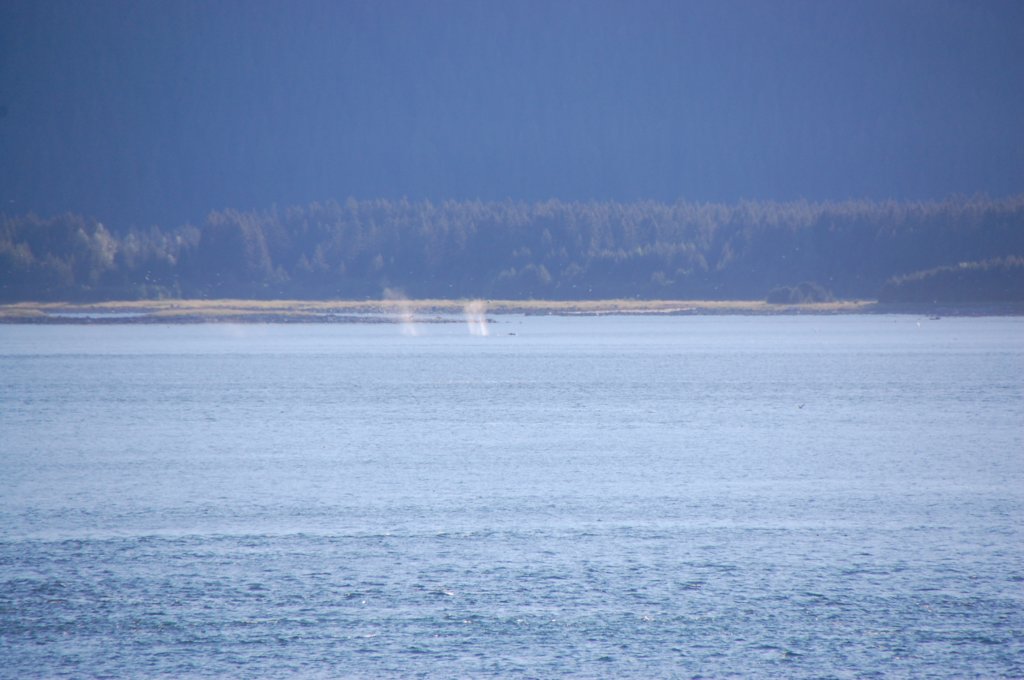 dsc_1587.jpg