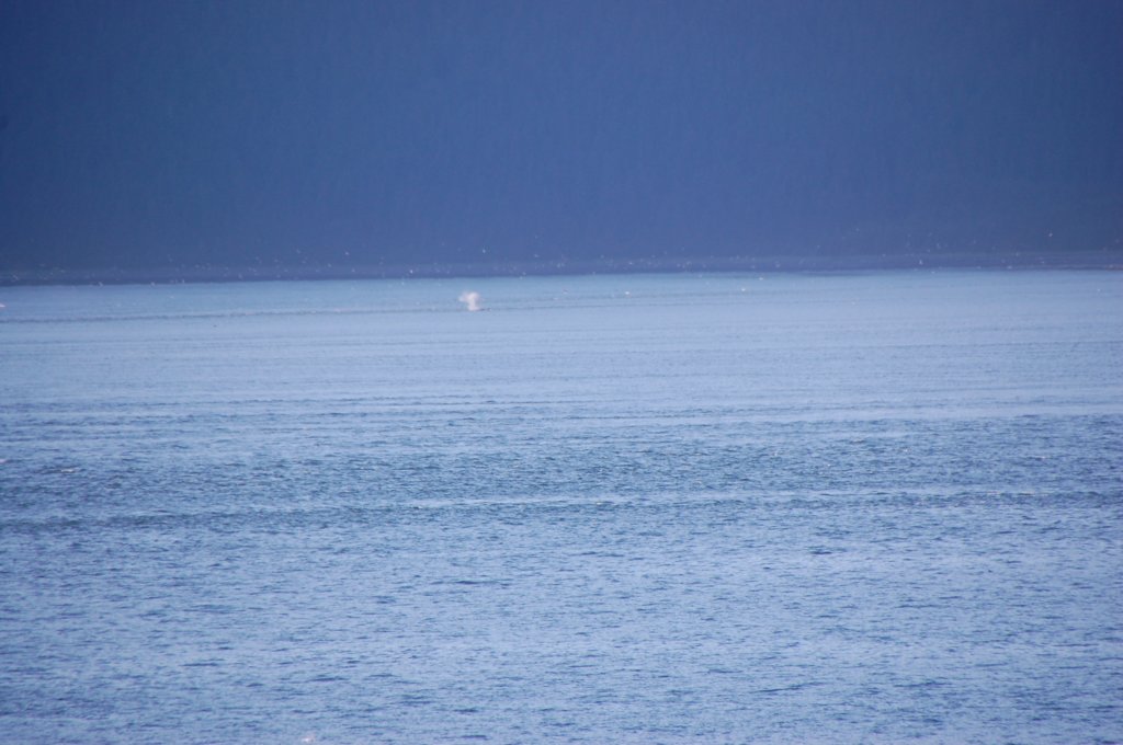 dsc_1588.jpg