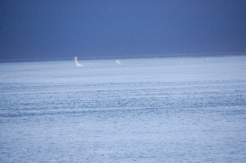 dsc_1591.jpg