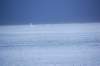 dsc_1591_small.jpg