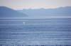 dsc_1598_small.jpg