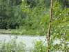 dscn1461_small.jpg