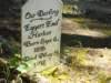 dscn1463_small.jpg