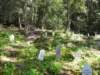 dscn1475_small.jpg